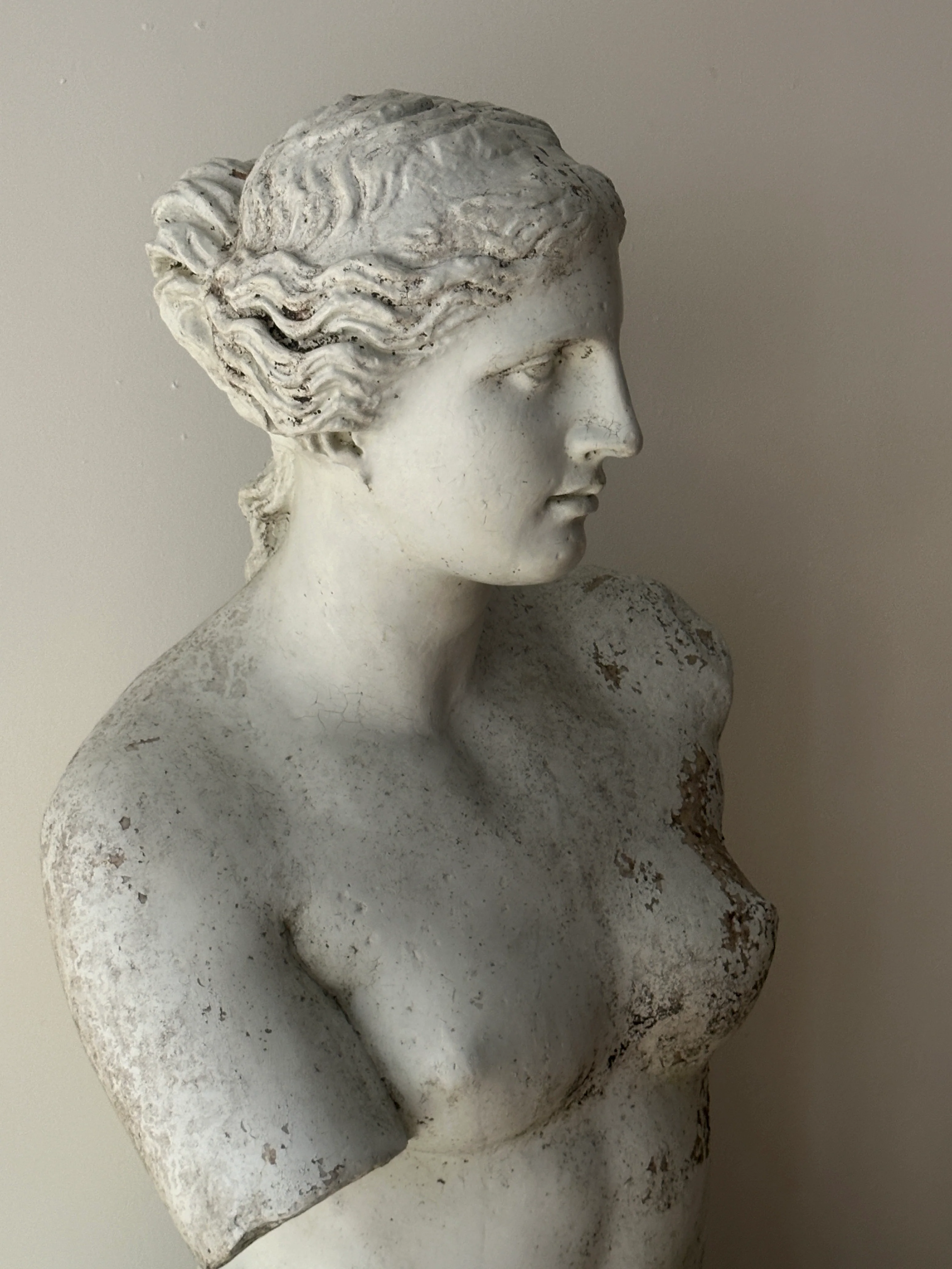 Plaster bust - Image 4