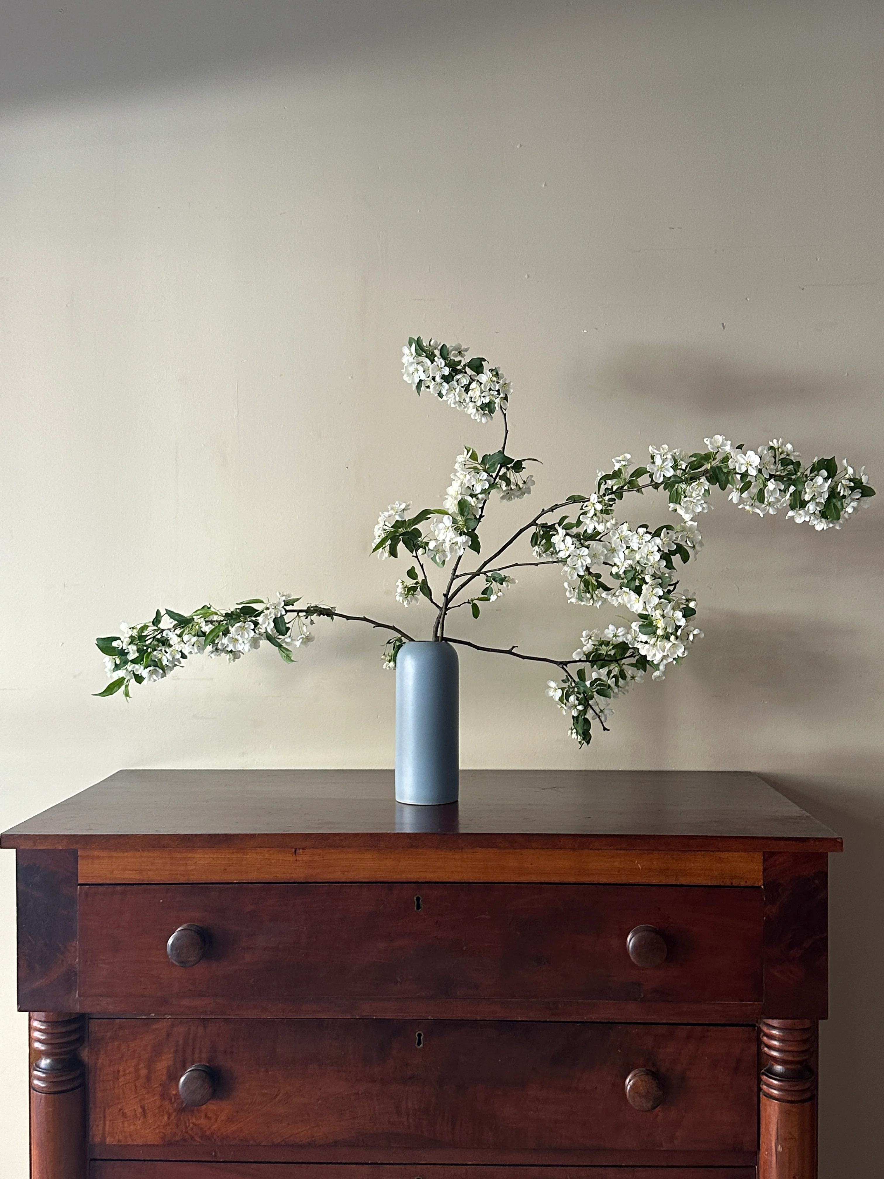 Sheraton cherry dresser - Image 2