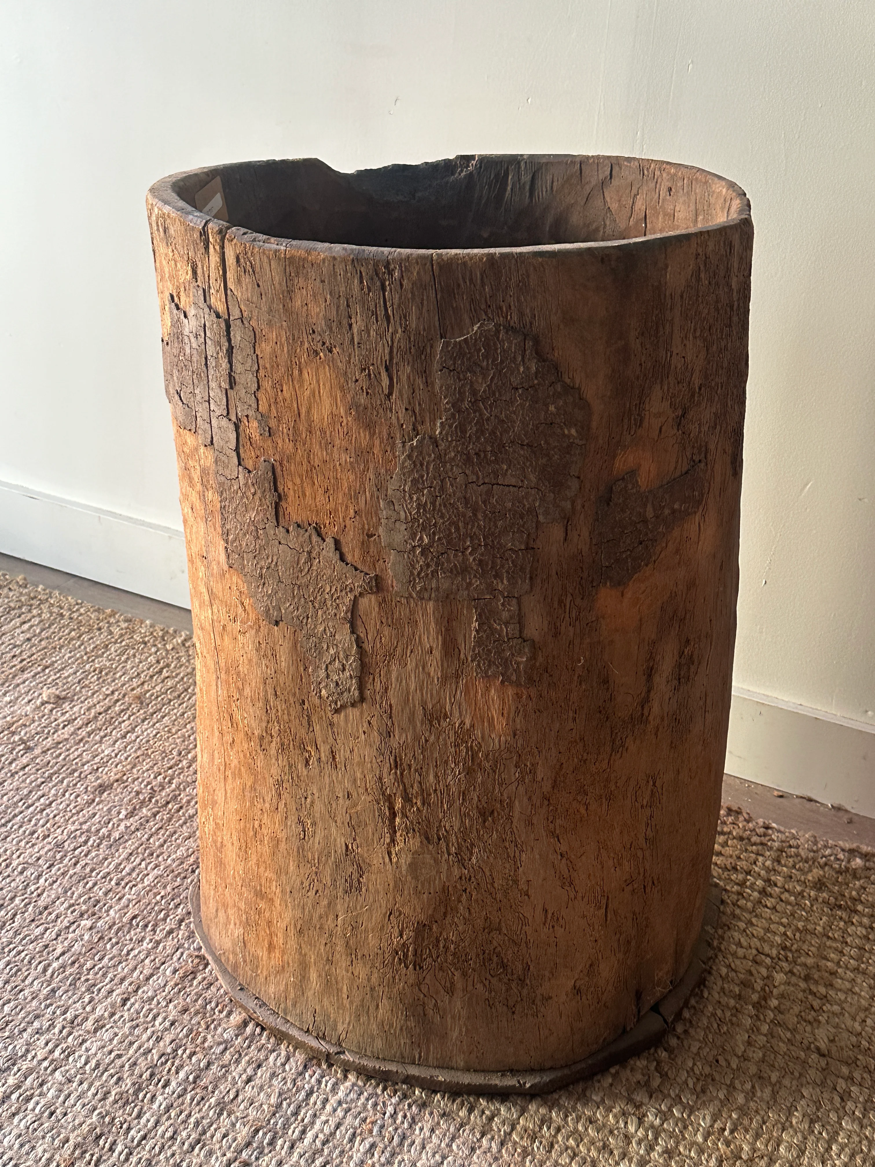 XL hornbeam planter - Image 4